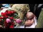 Похороны Мозгового в Алчевске. Тысячи людей прощаются с героем