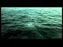 Серьга (Сергей Галанин) —  Холодное море молчит